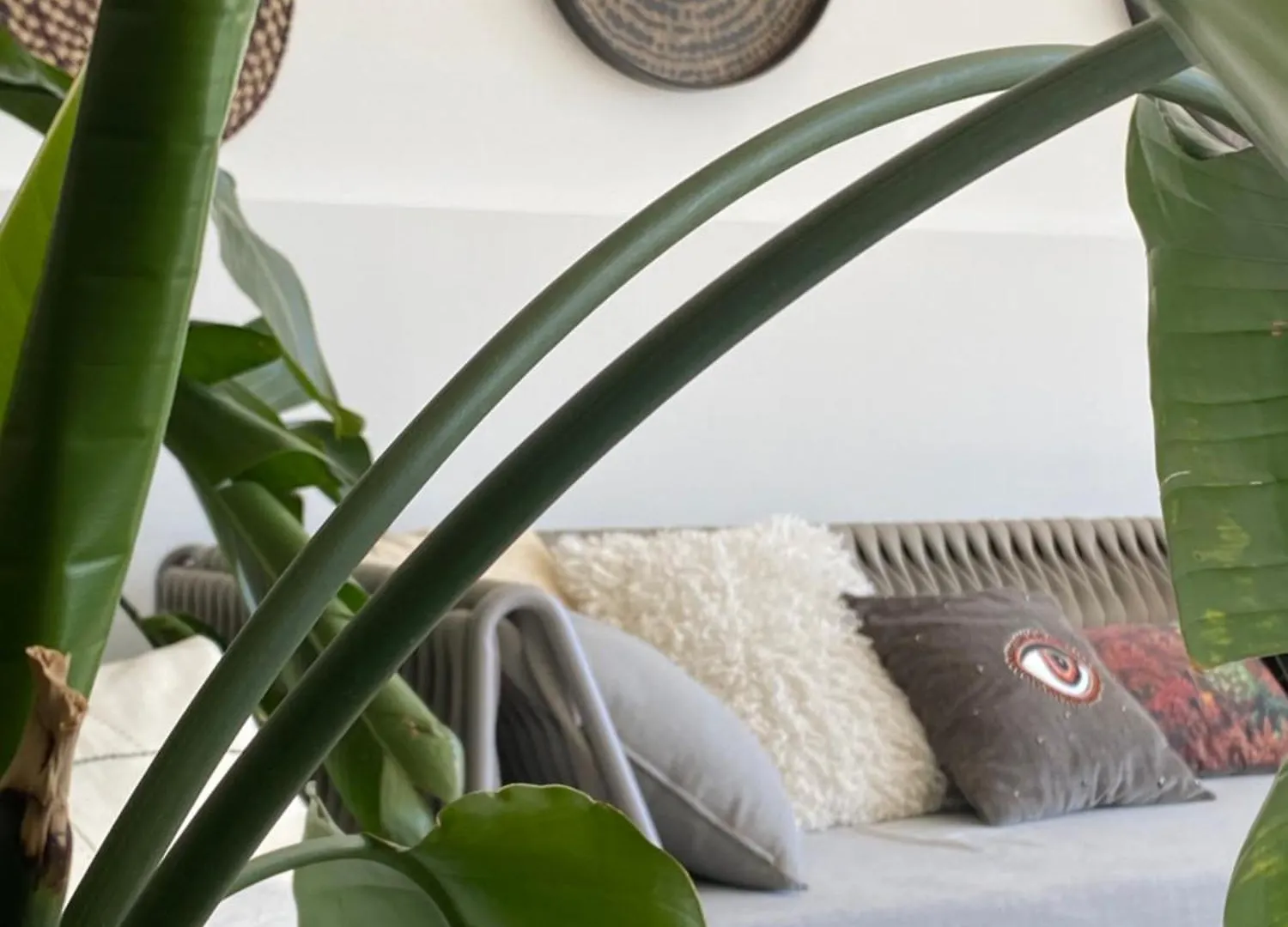 Apartment Hidden Paradise French Riviera Eze