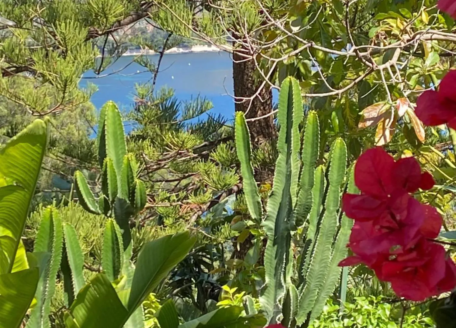 Hidden Paradise French Riviera Eze 0*,  France