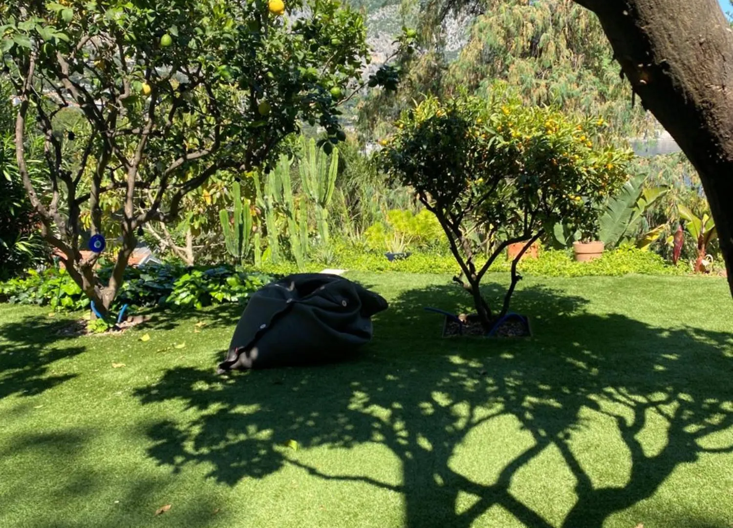 Hidden Paradise French Riviera Eze