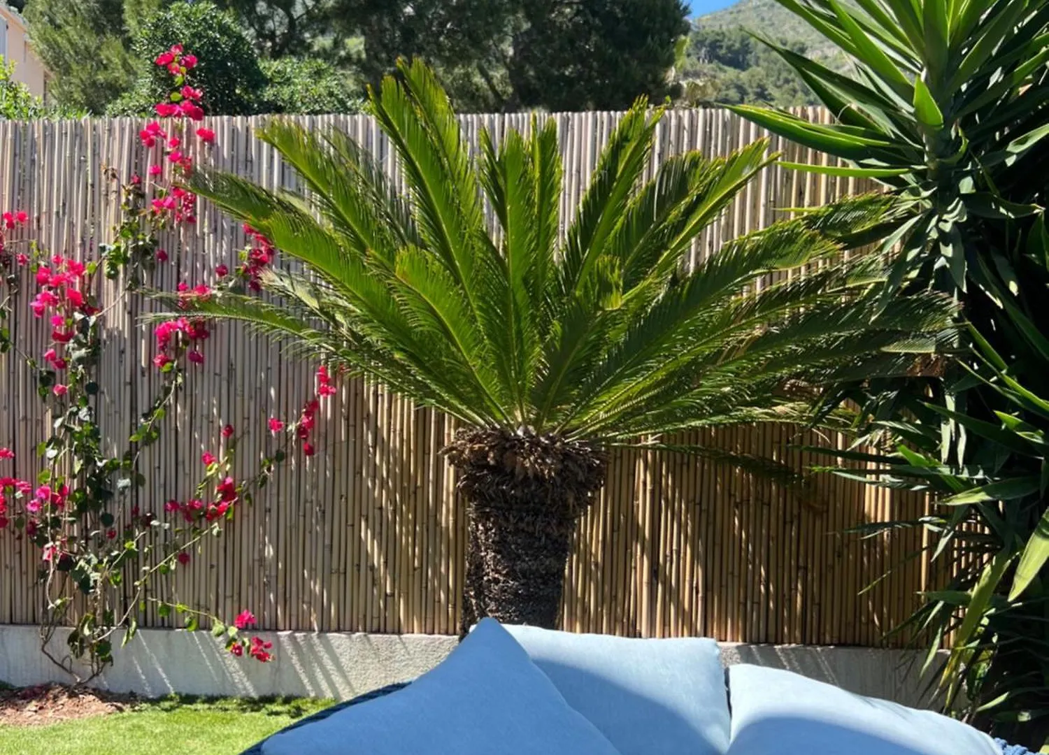 Hidden Paradise French Riviera إز 0*,